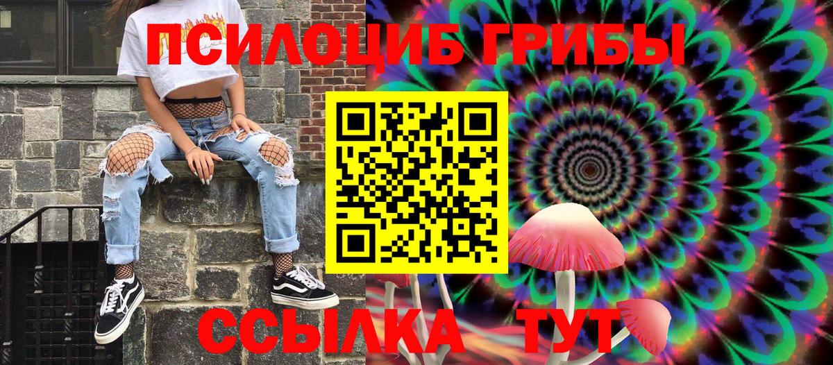 Чистополь  Псилоцибиновые грибы Cubensis  Галлюциногенные грибы Psilocybine cubensis  Вход с VPN 
